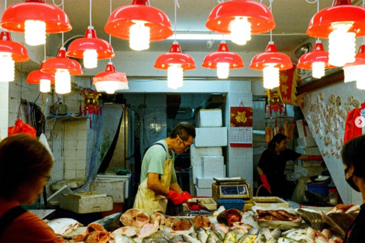 NO.08北角2025/50x40/Scofield Chan